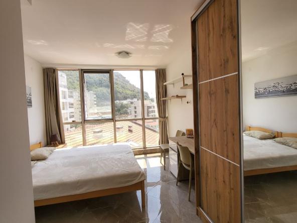 Magnificent apartment in Rafailovici close to the sea