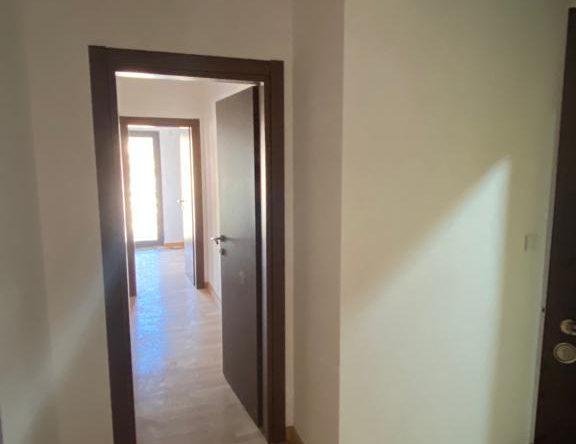 montenegro property market