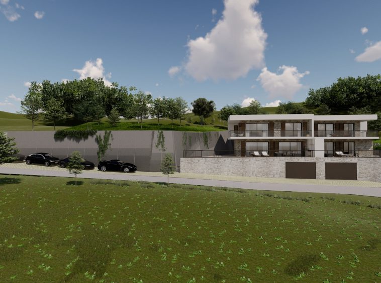 montenegro for sale house