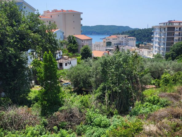 montenegro real estate investment