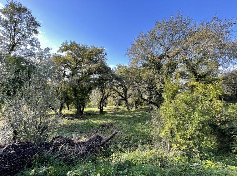 investment property for sale