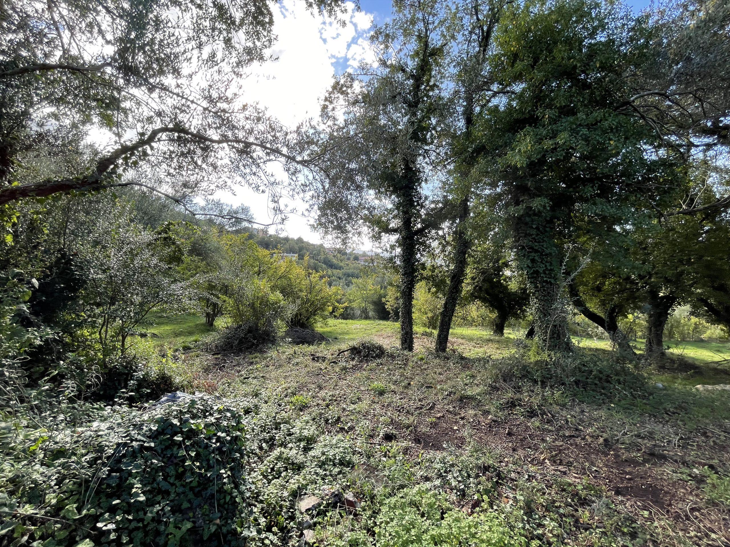 investment property for sale