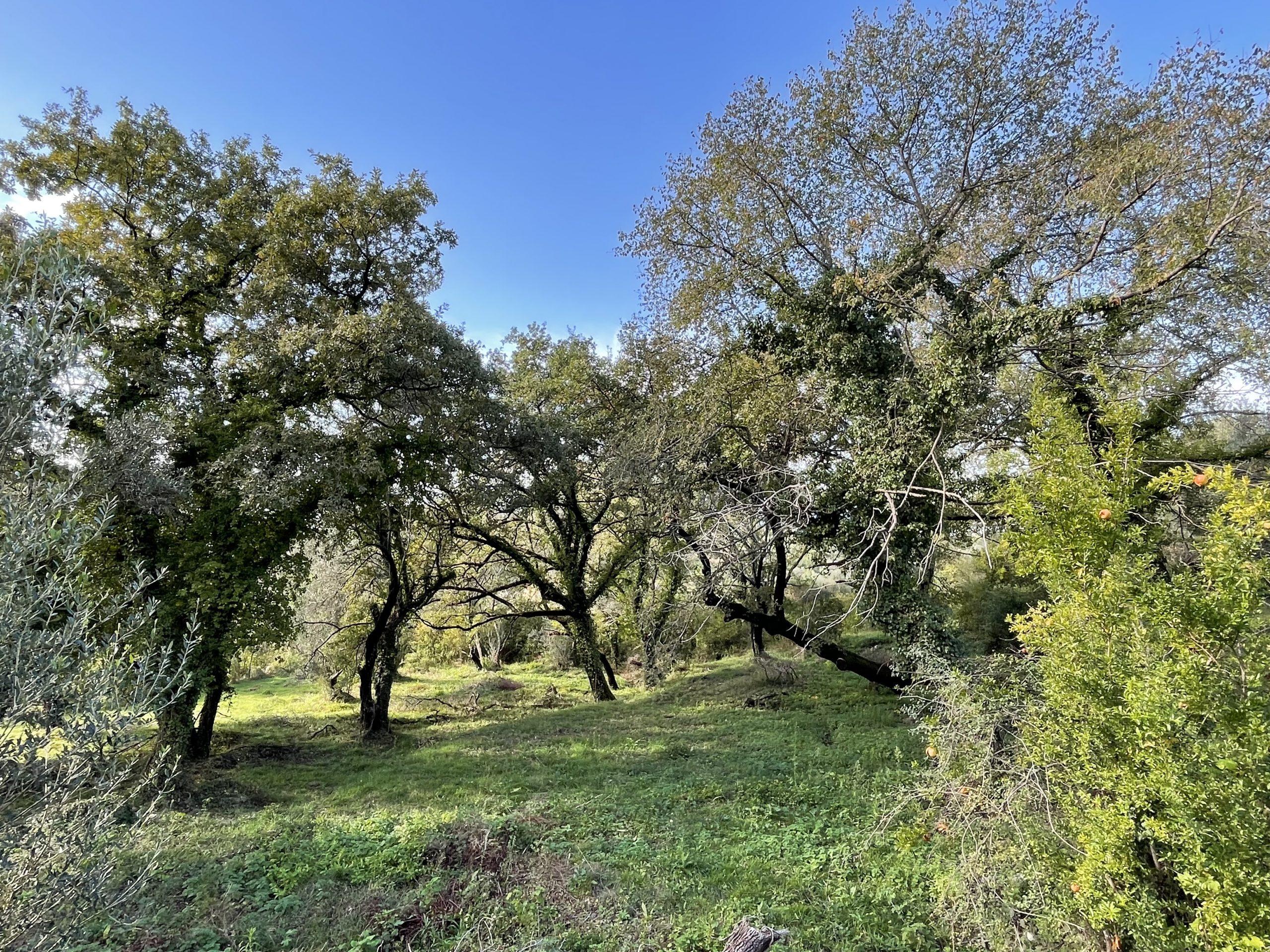 investment property for sale