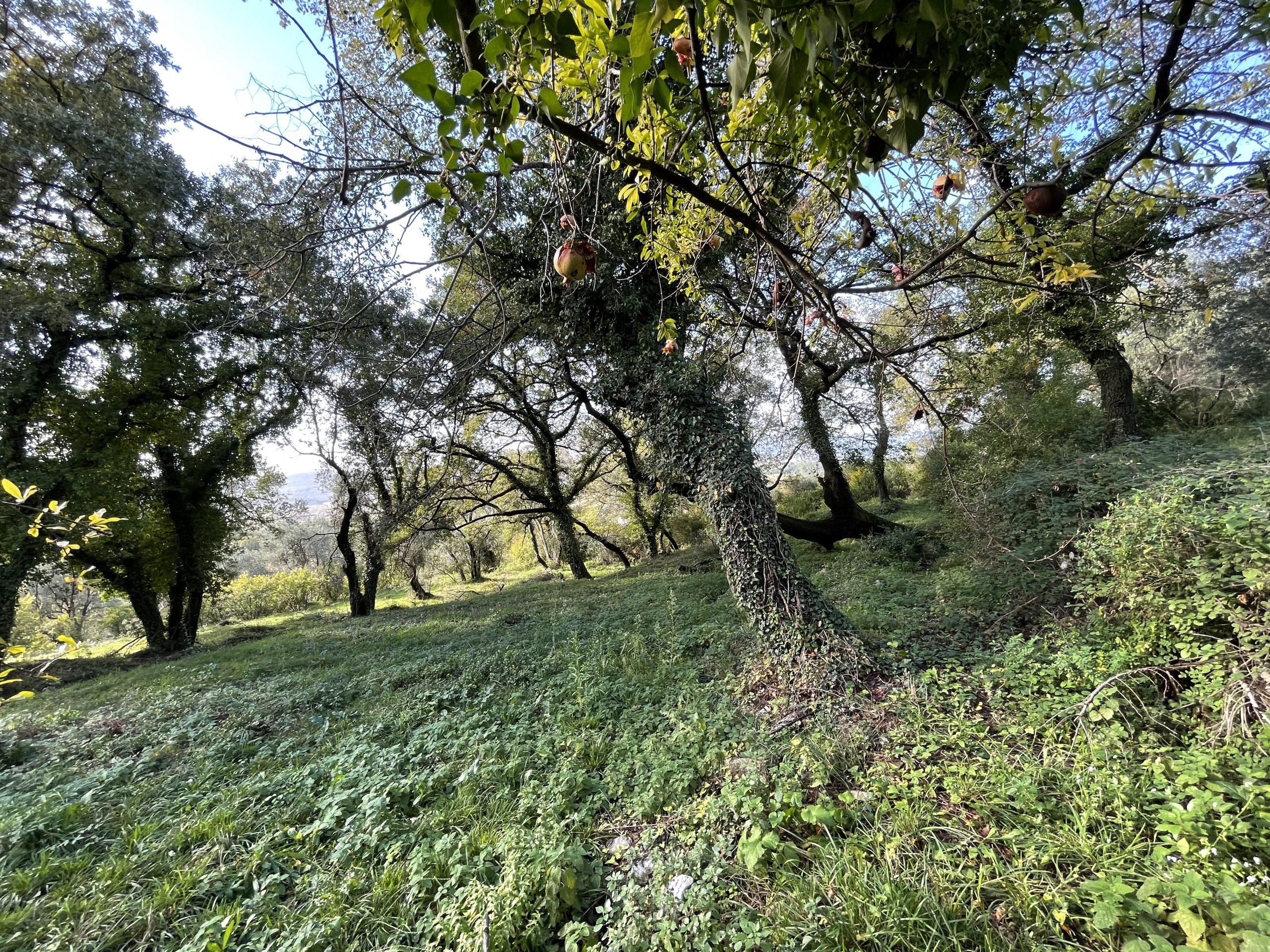 investment property for sale