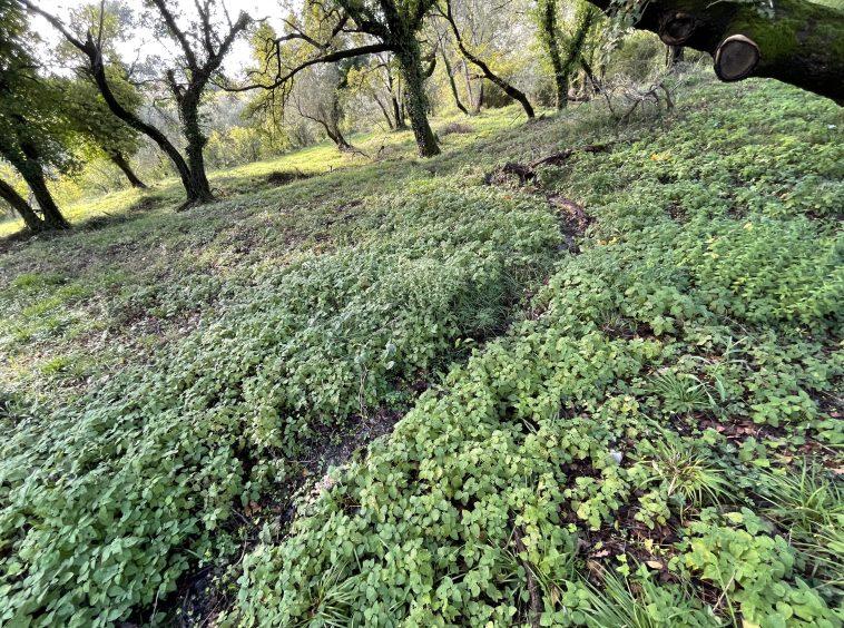 investment property for sale