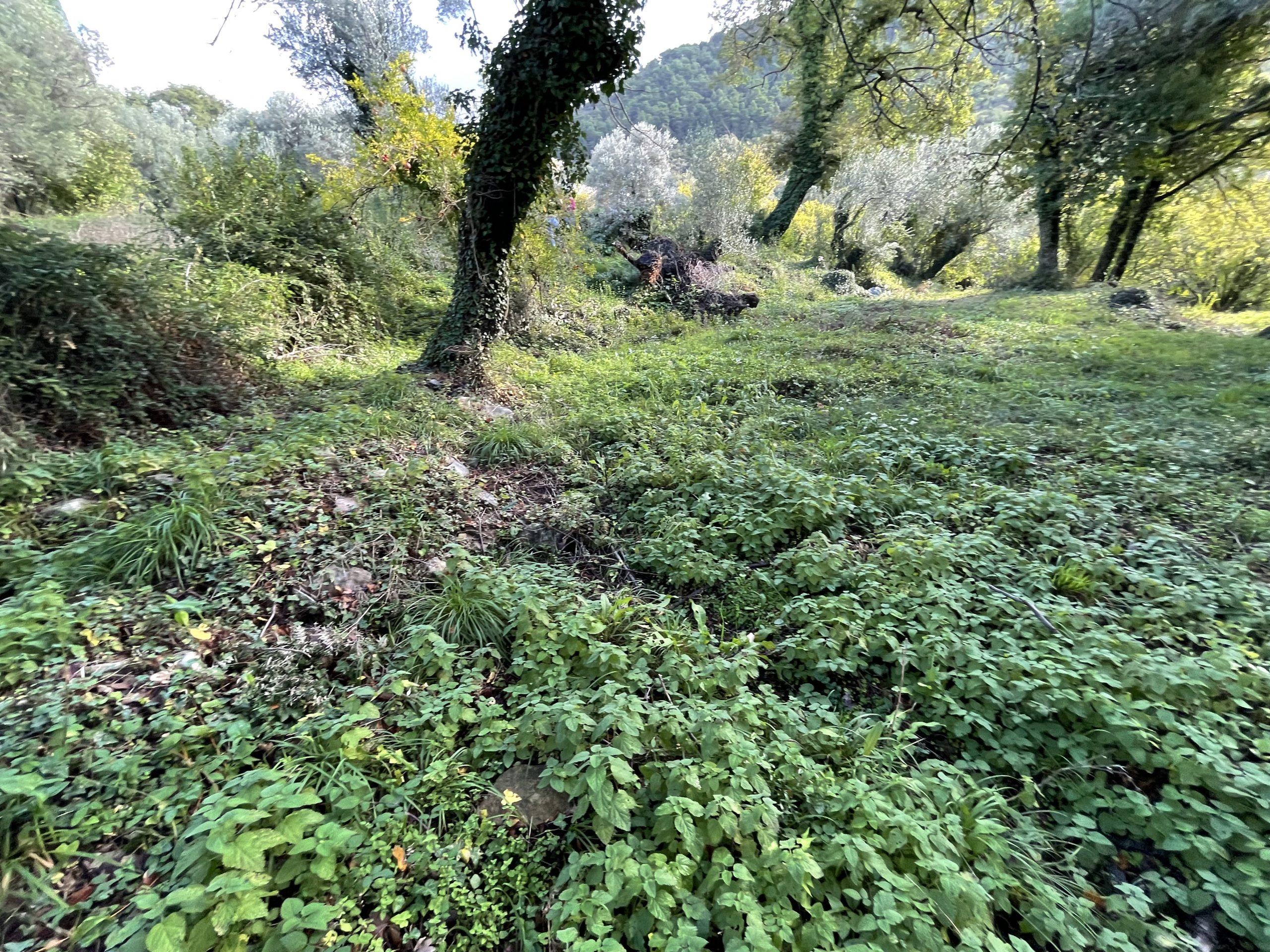 investment property for sale