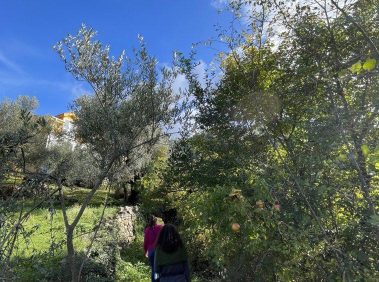 investment property for sale