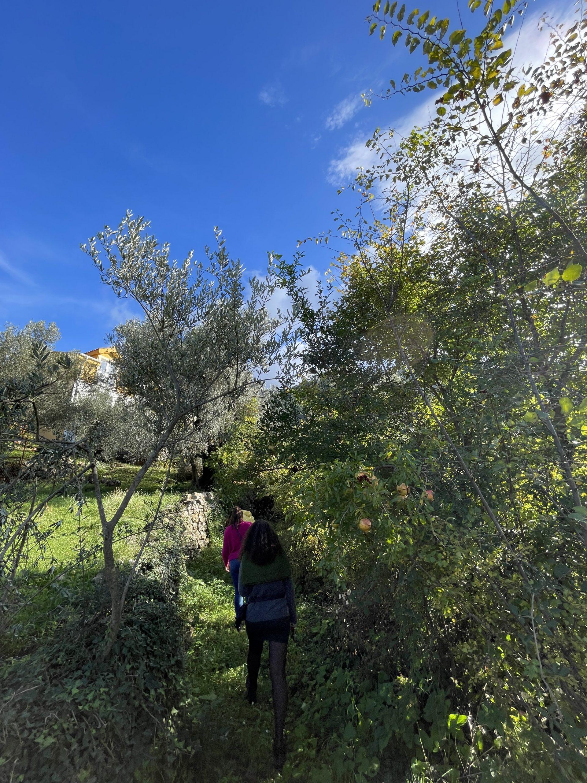 investment property for sale