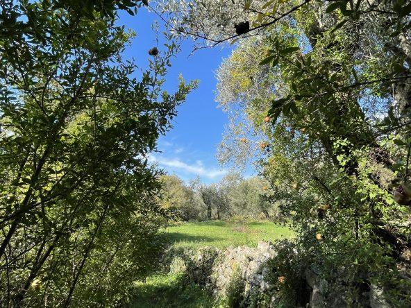 investment property for sale