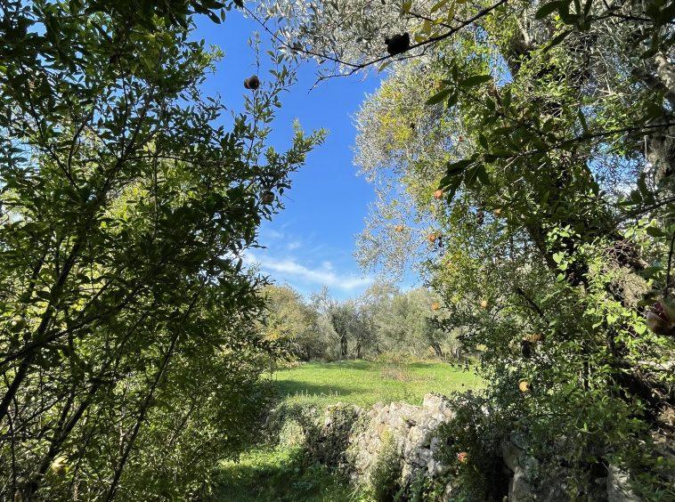 investment property for sale