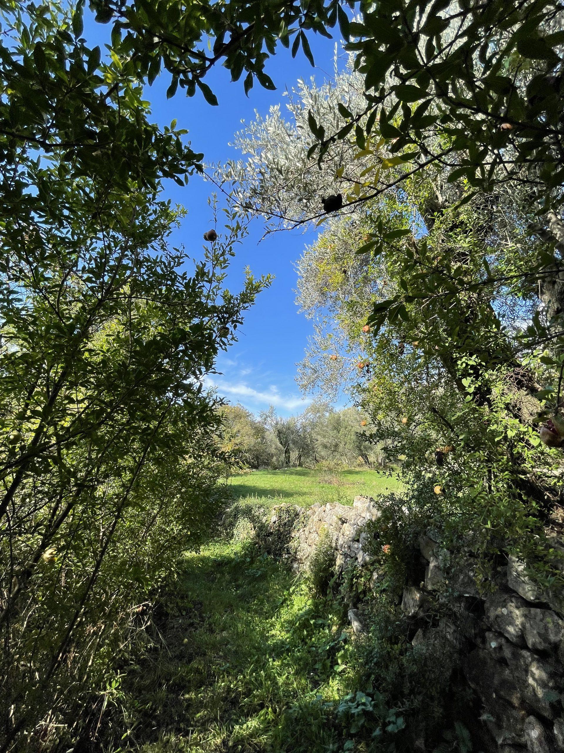 investment property for sale