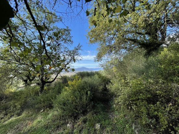 investment property for sale