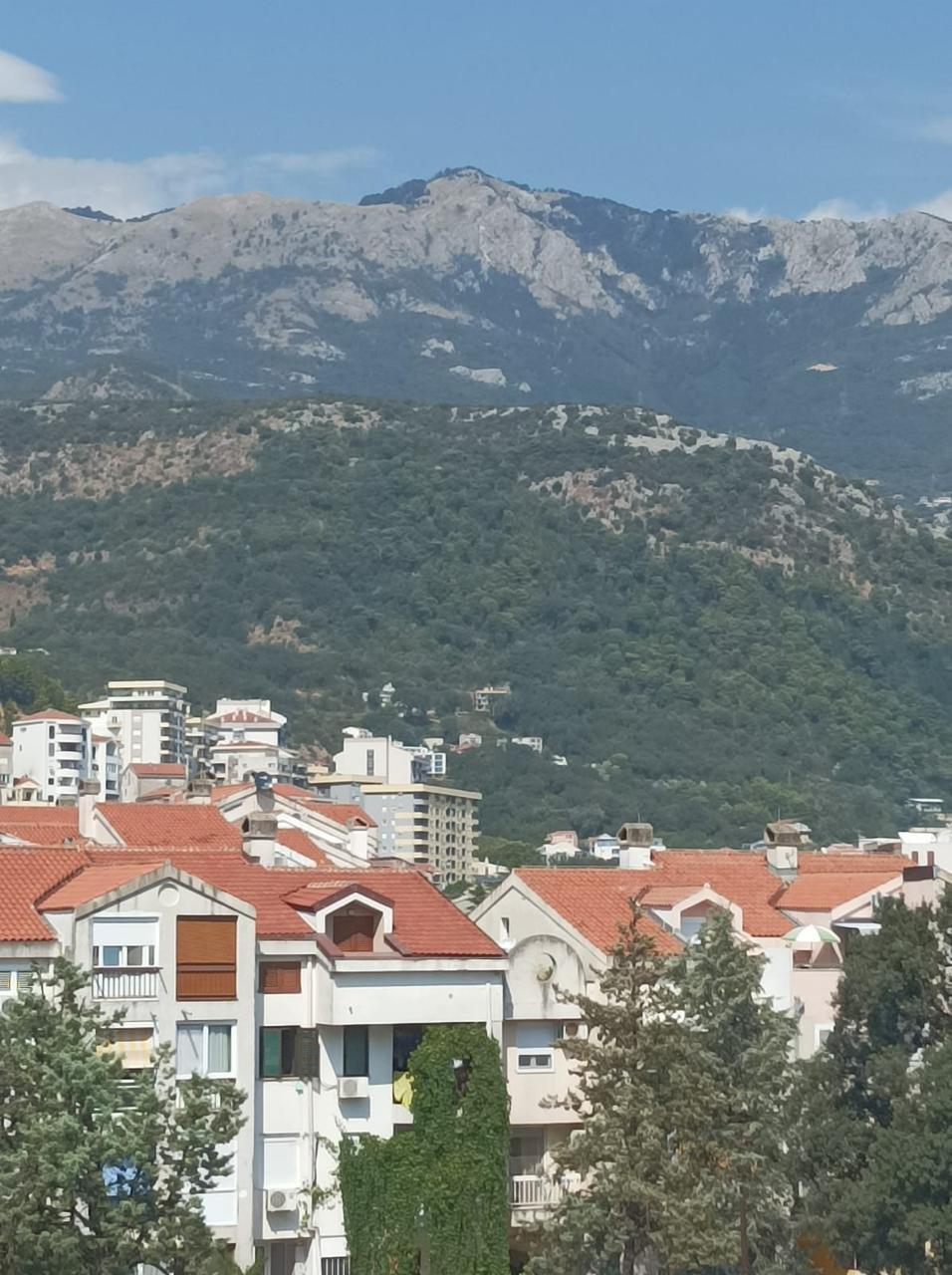 real property montenegro