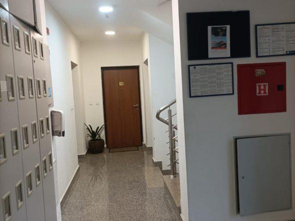 real property montenegro