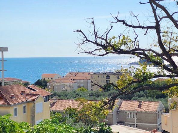 house for sale in Petrovac