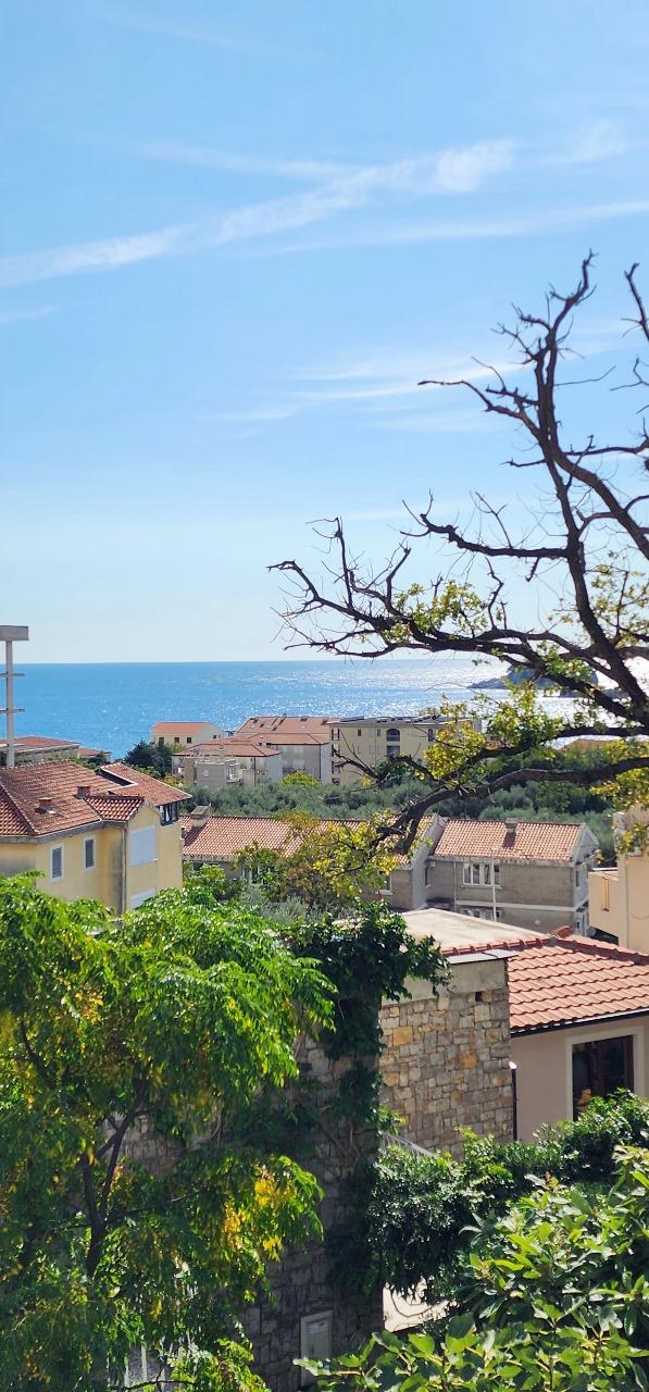 house for sale in Petrovac