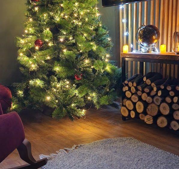 house for sale in Petrovac