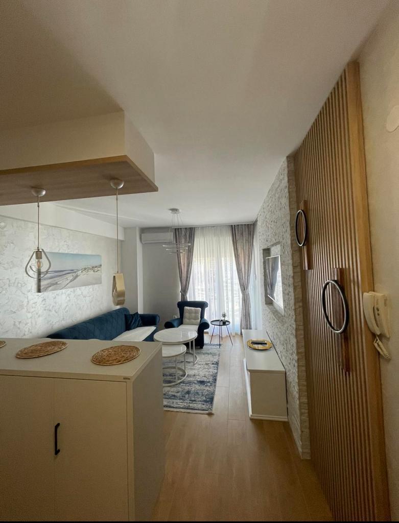 Annual apartment rentals in Budva