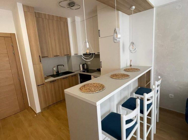 Annual apartment rentals in Budva