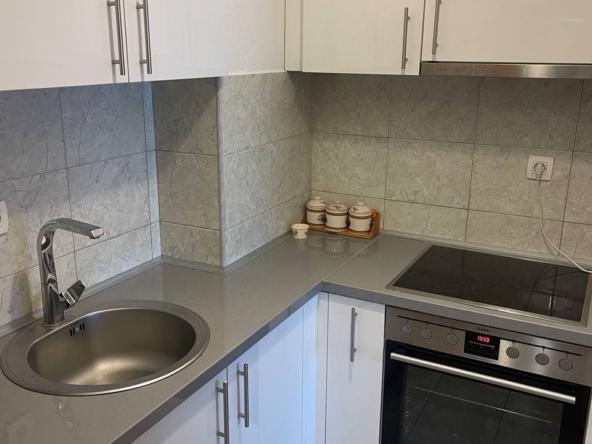 Homes for rent in Budva